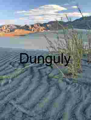 Rooted in Silence: Ripples, Dunes, and Desert Survival