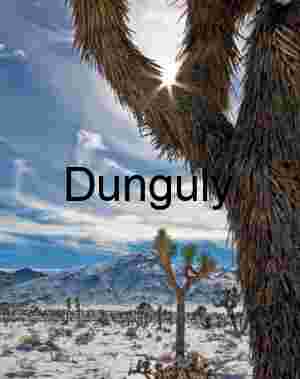 Starburst Over Snow: Desert Light and Frozen Roots