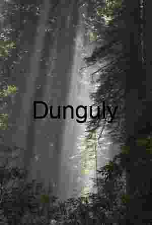 A secluded grove of redwoods offers a peaceful refuge as gentle morning light filters through mist