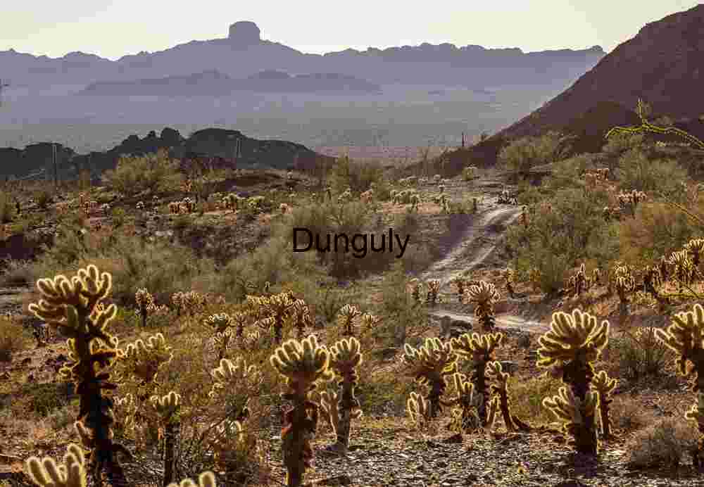 Desert Four-Wheel Drive Route Through KOFA Wildlife Reserve