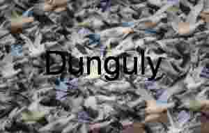 Snow Geese Blast-Off: Density in Flight at Bosque del Apache