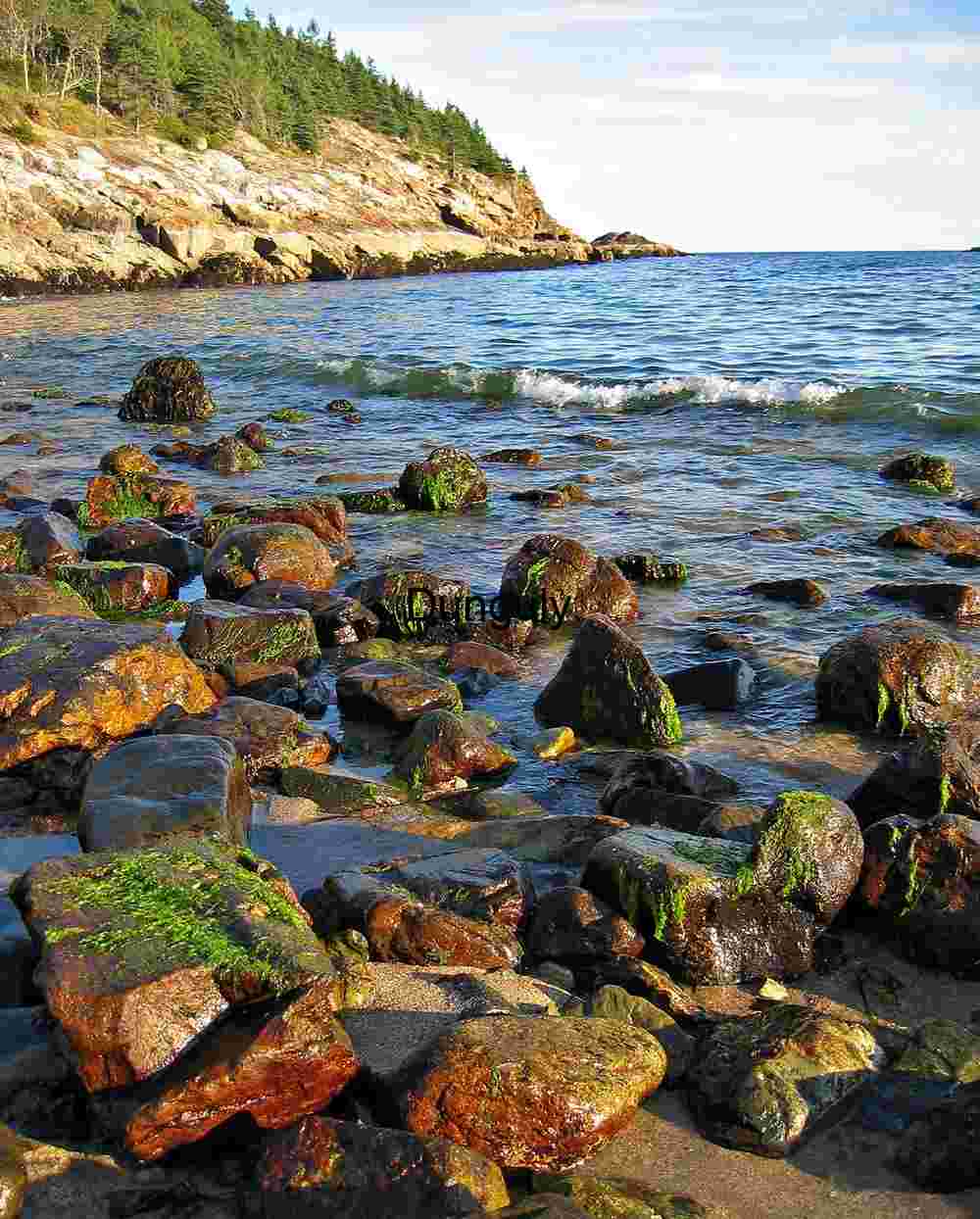 Mirror Image - Abbot School Reflection in Castine Waters