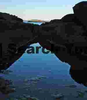 Tidepool Ecosystem and Island Vista at Acadia