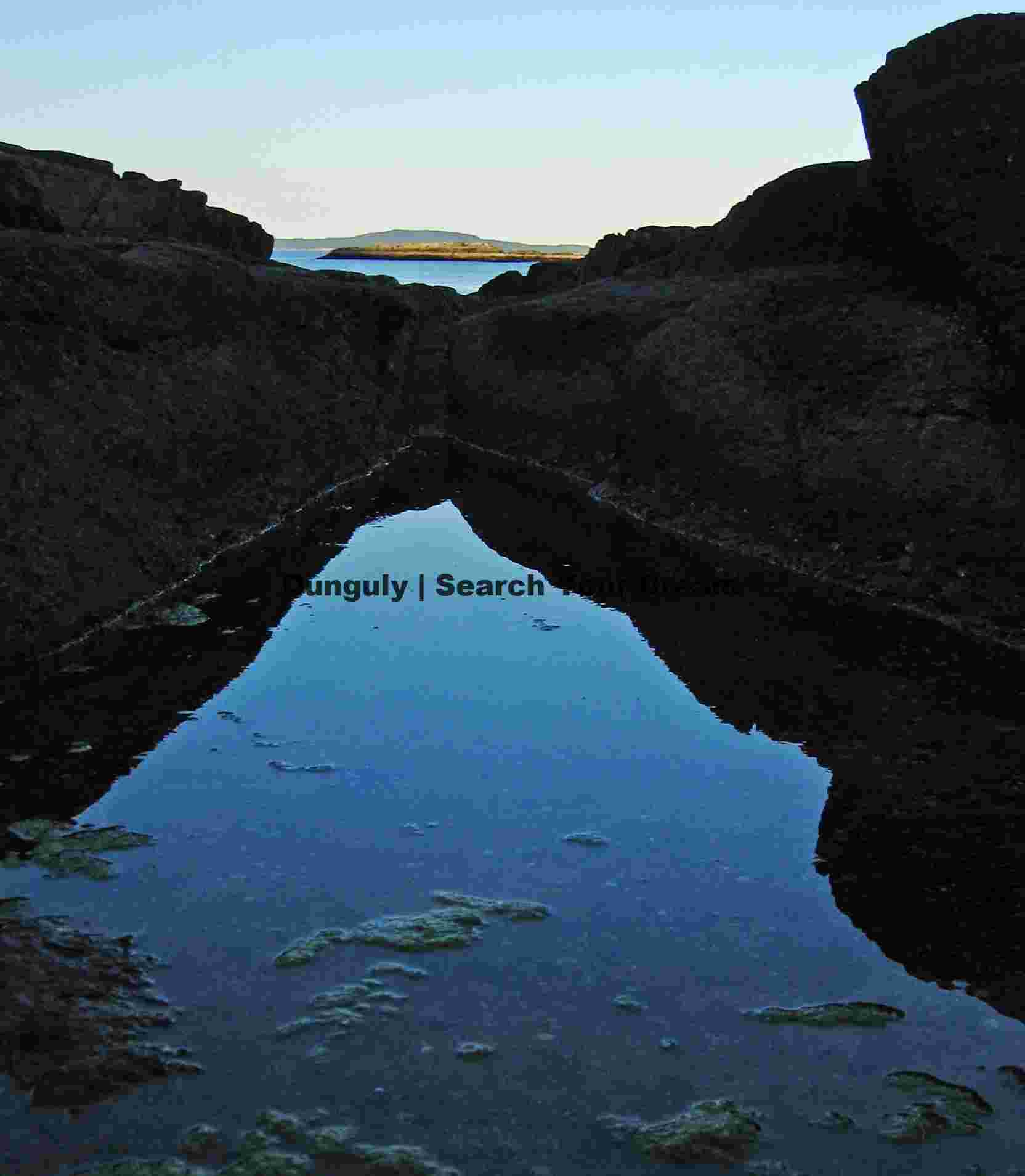 Tidepool Ecosystem and Island Vista at Acadia