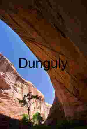 Alcove-Framed Tree, Coyote Gulch, Utah Canyonlands