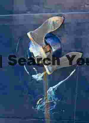 Maritime Artifacts - Anchor and Carved Scratchings from Maine