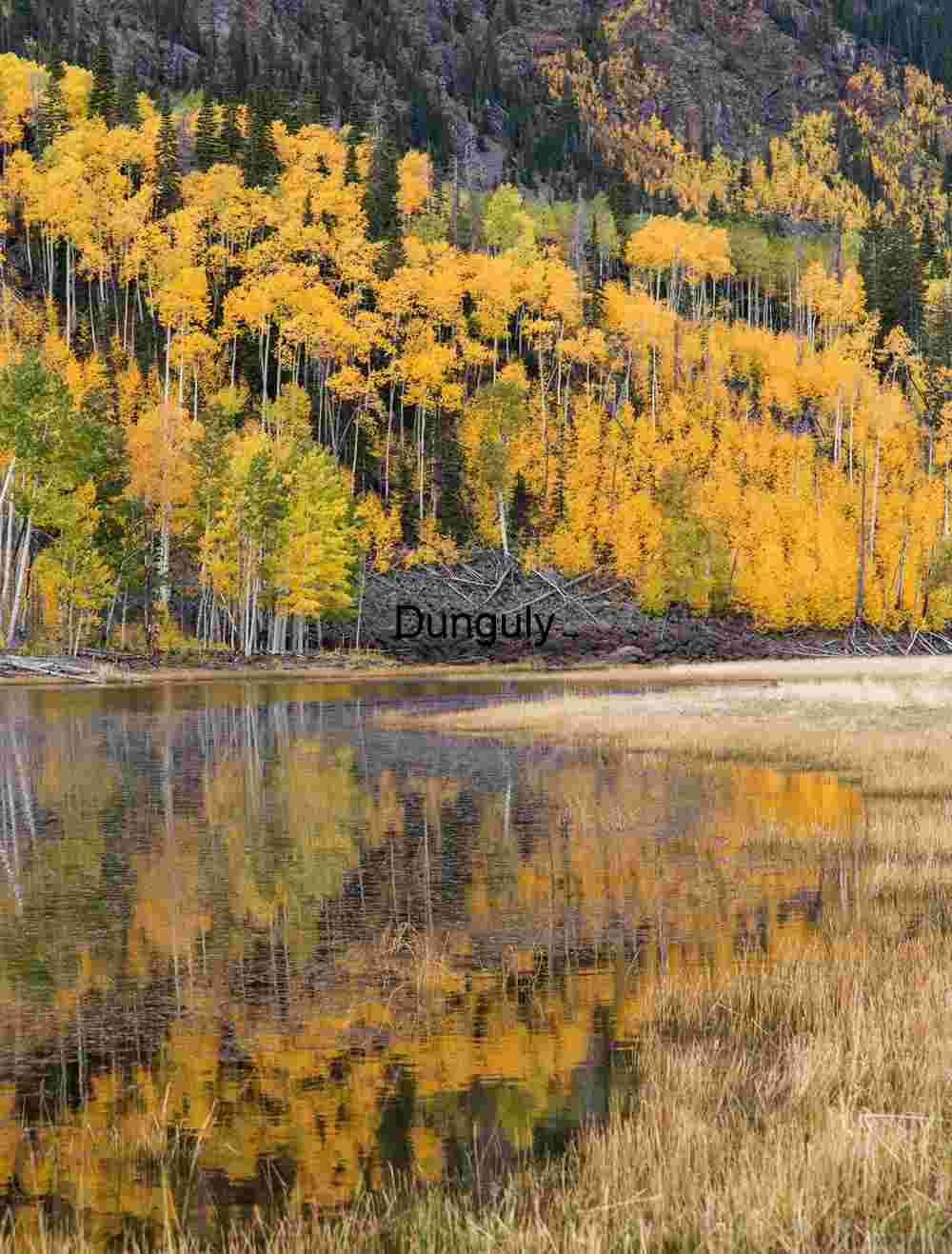 Aspen reflections