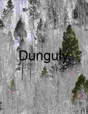 Aspens | Golden Yellow Trees & Lake