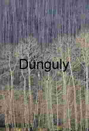 Bare aspens | Golden Yellow Trees & Lake