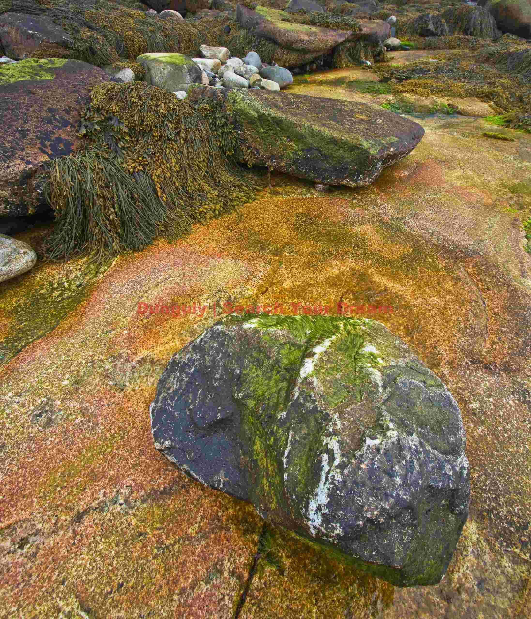 Between a Rock and Hard Place - Acadia's Natural Seawall