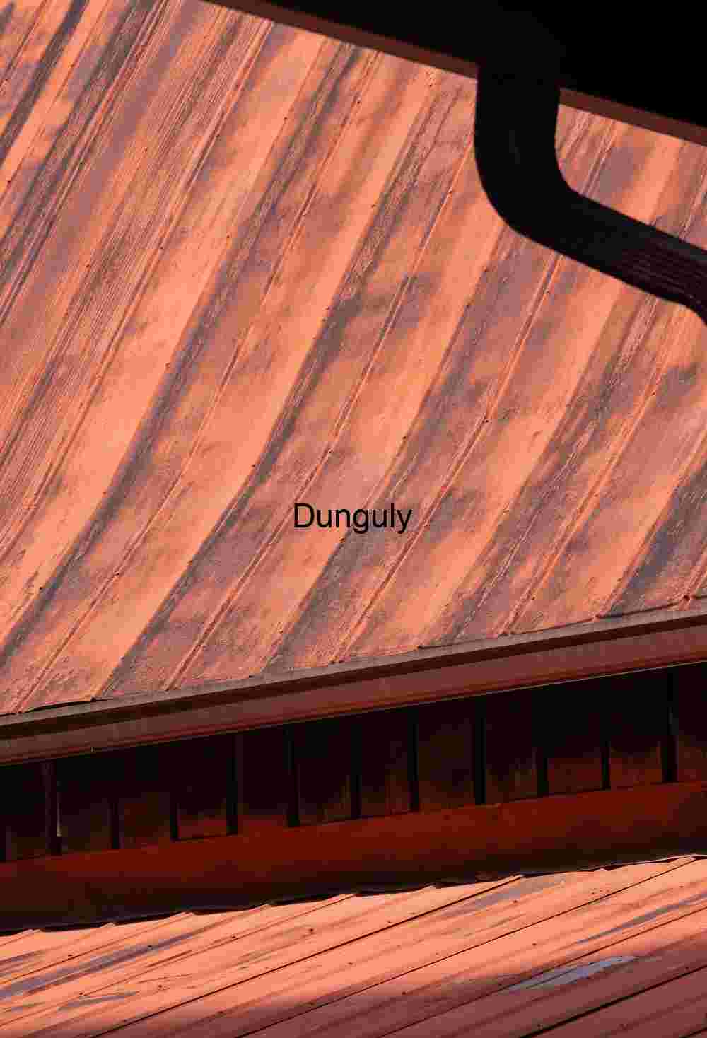 Weathered Copper Barn Roof Texture, Gutter Detail