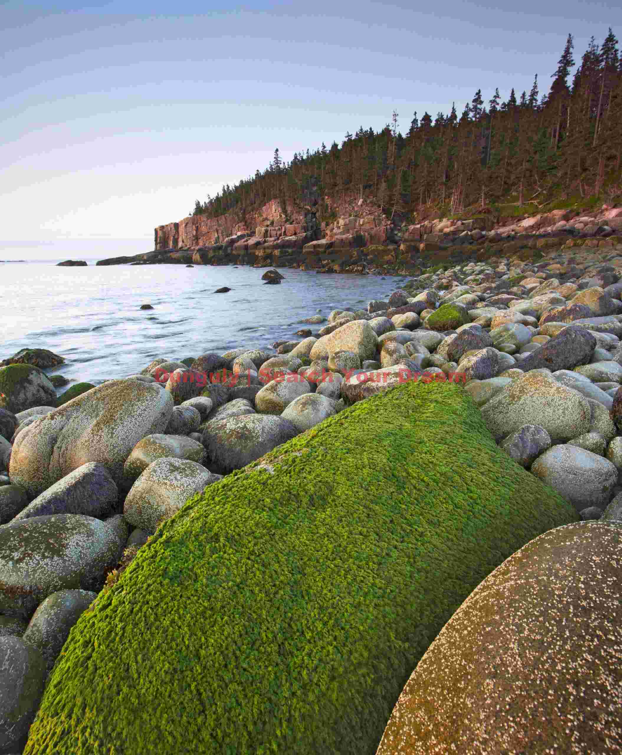 Big Greenie - Iconic Lichen-Covered Cliff at Acadia