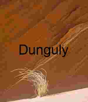 Blowing in the wind, Cottonwood, Coyote Buttes South