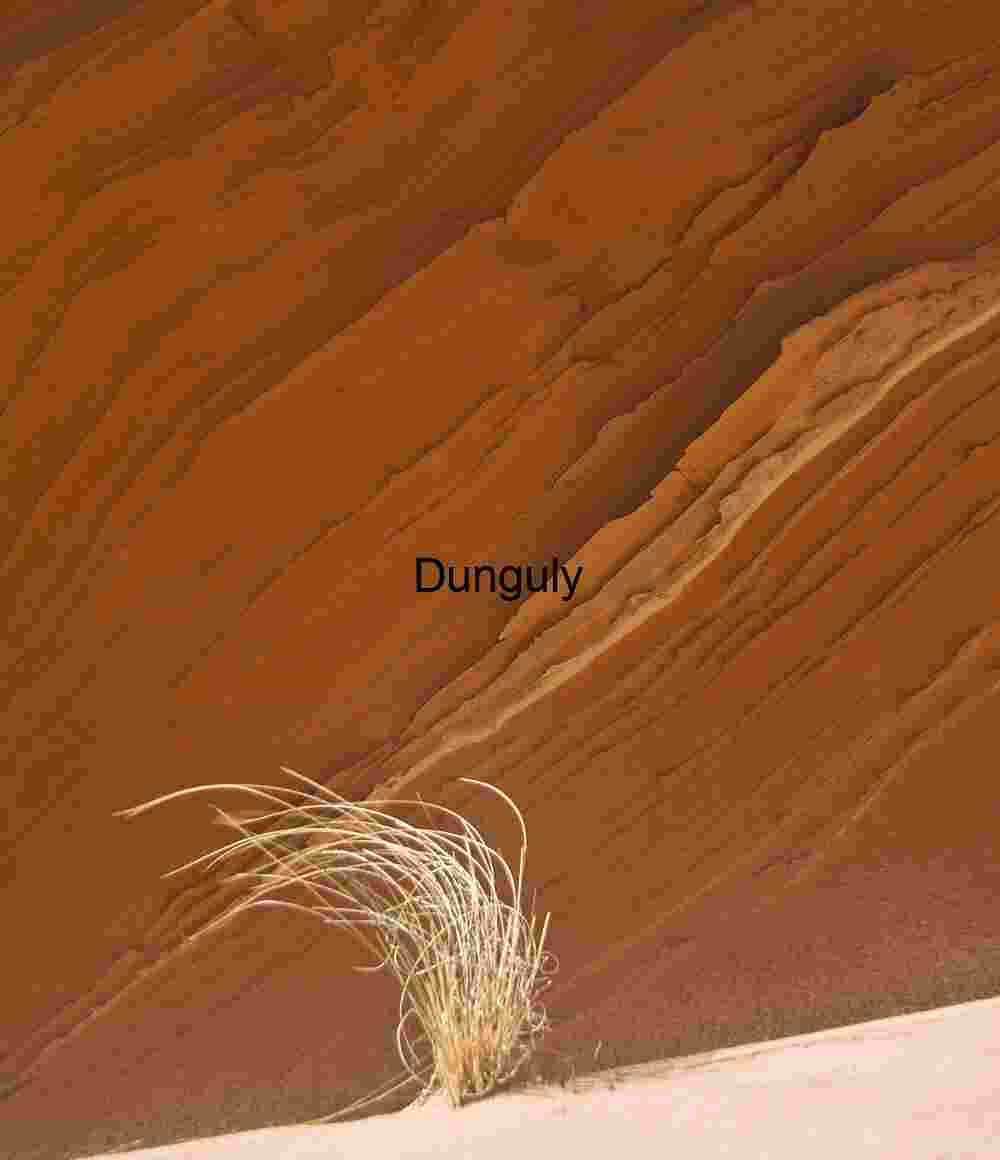 Blowing in the wind, Cottonwood, Coyote Buttes South
