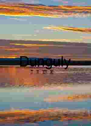 Bosque del Apache Sunrise: Sandhill Cranes & Fiery Clouds
