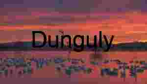 Bosque del Apache Sunrise: Sandhill Cranes & Fiery Clouds | geese roosing, for the night