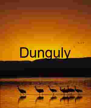 Bosque del Apache Sunrise: Sandhill Cranes & Fiery Clouds | sandhill cranes, and golden sunrise