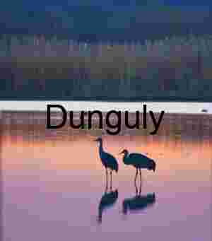 Bosque del Apache Sunrise: Sandhill Cranes & Fiery Clouds | sandhill cranes, turquoise sunrise
