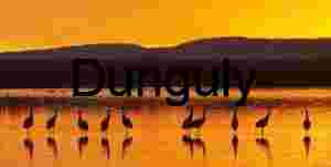 Bosque del Apache Sunrise: Sandhill Cranes & Fiery Clouds | the sanhill, cranes wake up