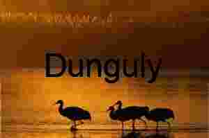 Bosque del Apache Sunrise: Sandhill Cranes & Fiery Clouds | walk of the, sandhill cranes