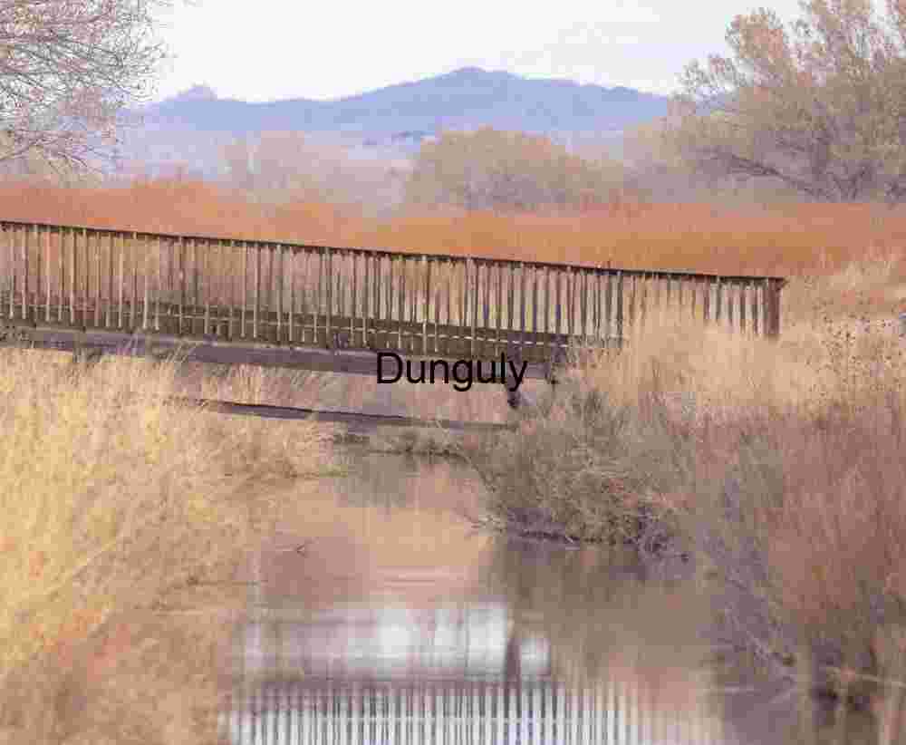 Wooden Bridge over Wetland Stream - Bosque del Apache