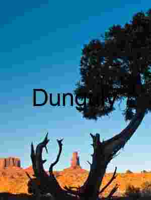 Butte cupped in tree