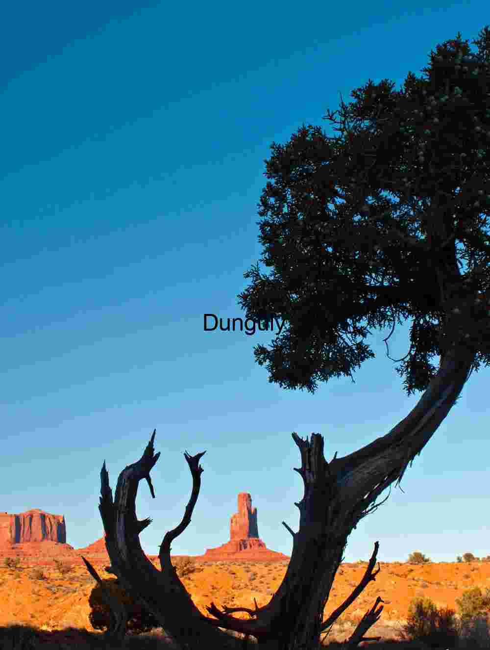 Butte cupped in tree