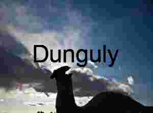 Camel hoodoo letting off steam