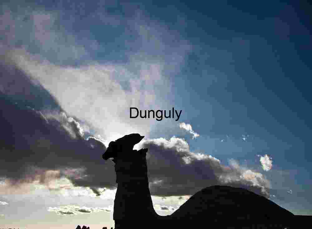 Camel hoodoo letting off steam