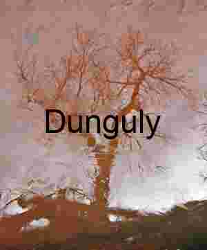 Iced Pond Reflection: Canyon Tree in Winter