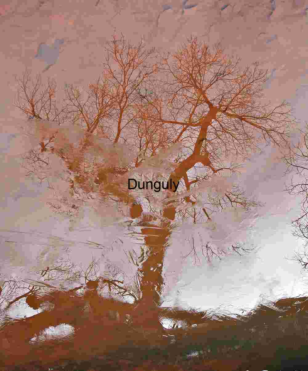 Iced Pond Reflection: Canyon Tree in Winter