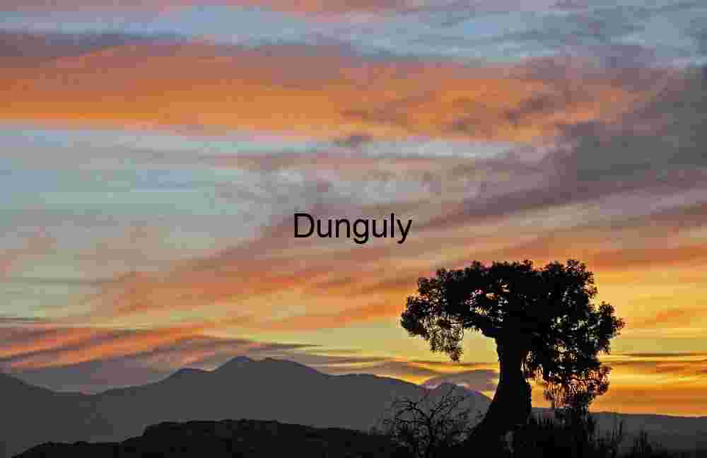 Sunset Silhouette of Lone Tree and Mountains