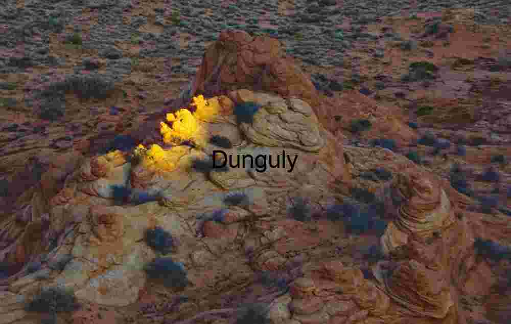 Catch-light on sandstone, Cottonwood, Coyote Buttes South