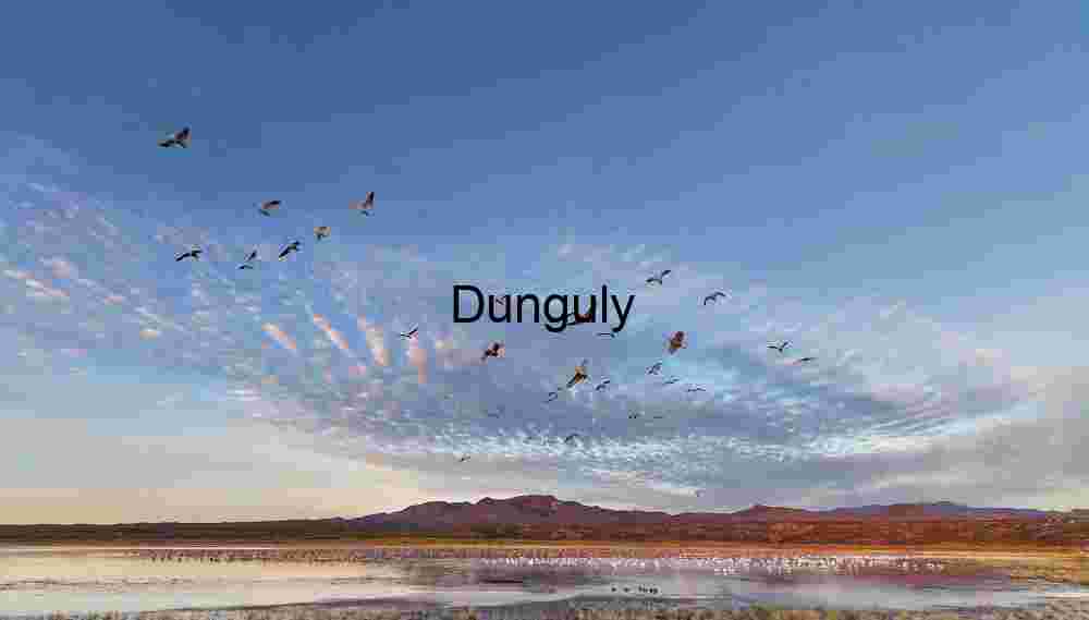 Pre-Sunrise Flight: Cloud Patterns over Bosque del Apache