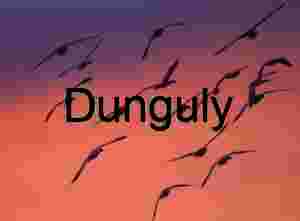 Bosque del Apache Sunrise: Sandhill Cranes & Fiery Clouds | Colorful crane, sillhouetttes, #1