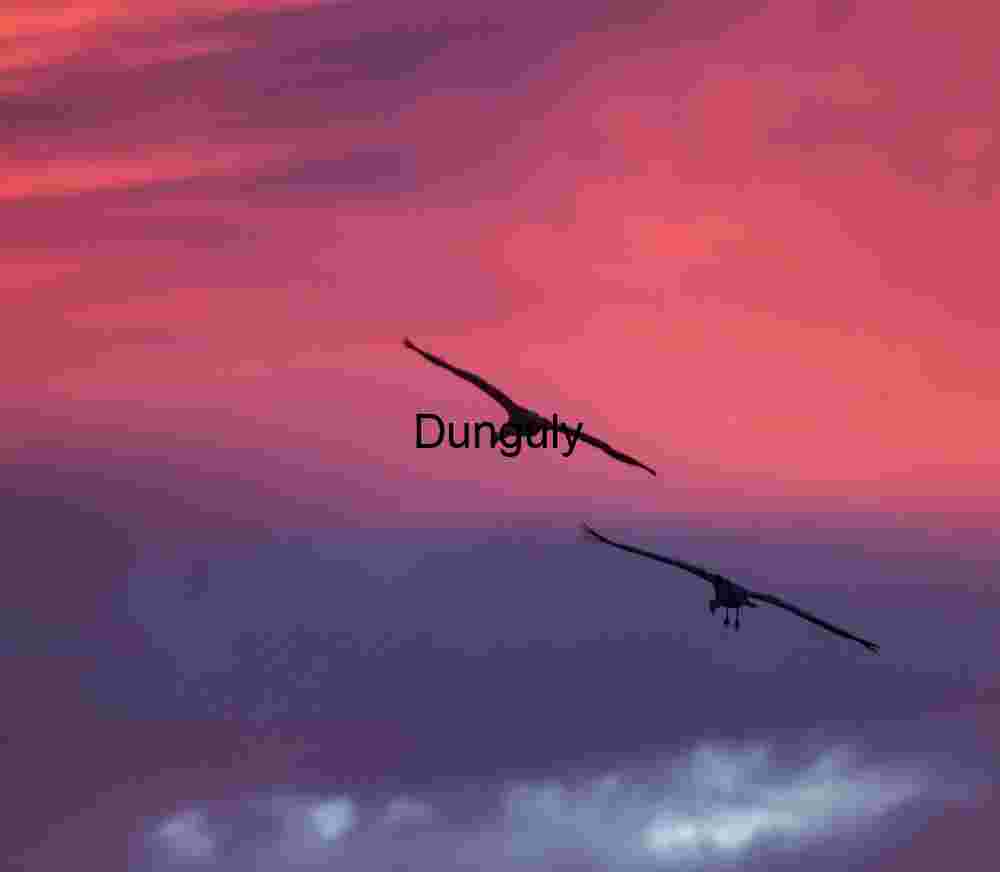 Bosque del Apache Sunrise: Sandhill Cranes & Fiery Clouds | Colorful crane, sillhouetttes, #2