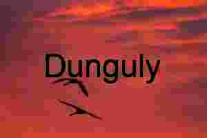 Bosque del Apache Sunrise: Sandhill Cranes & Fiery Clouds | Colorful crane, sillhouetttes #3