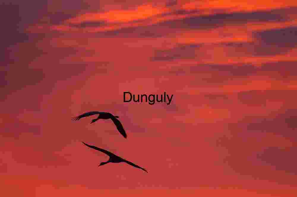 Bosque del Apache Sunrise: Sandhill Cranes & Fiery Clouds | Colorful crane, sillhouetttes #3