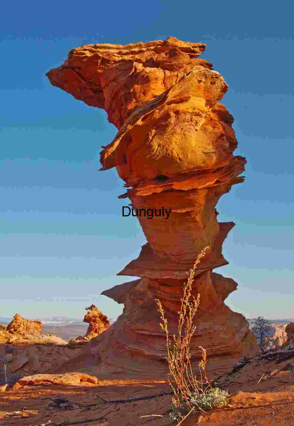 Control Tower and grass, Coyote Buttes South