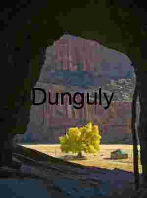 Navajo Hogan & Cottonwood Tree Framed by Cave