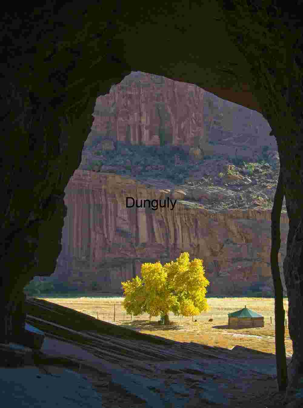 Navajo Hogan & Cottonwood Tree Framed by Cave