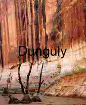 Lake Powell Exposed: Dead Cottonwoods & Red Rock Canyon Walls