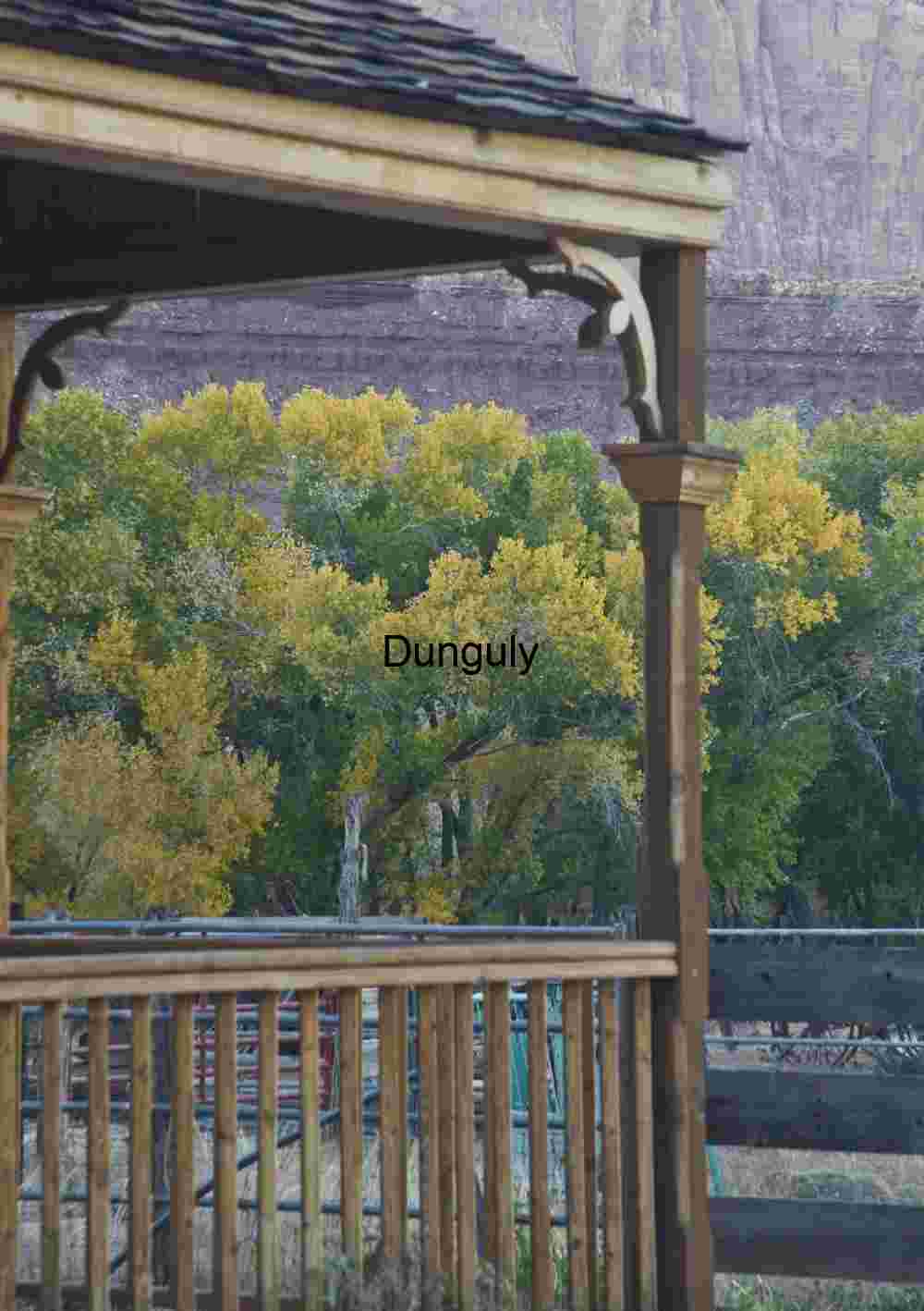 Cottonwoods from the porch, Grafton Ghost Town
