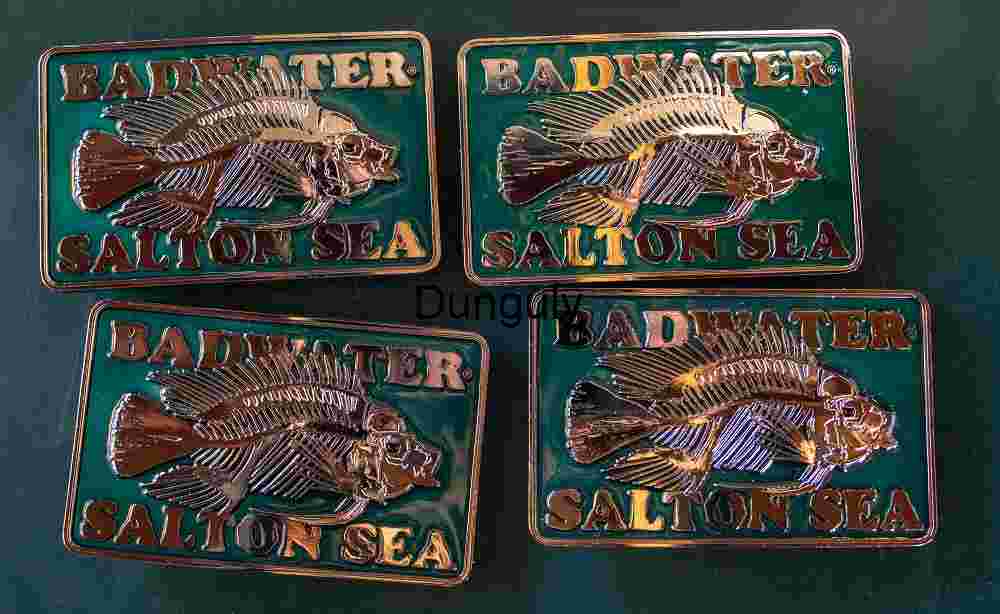 Badwater Salton Sea Race Finisher Belt Buckles Reward