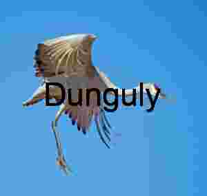 Sandhill Crane in Flight Against Clear Blue Sky Art Print