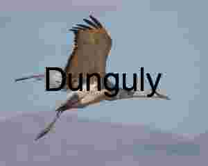 Sandhill Cranes in Flight Over Desert Landscape | Single Crane