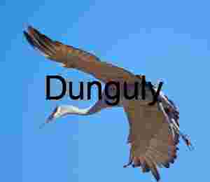 Sandhill Crane in Flight Against Clear Blue Sky Art Print | Crane in flight