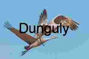 Sandhill Crane in Flight Against Clear Blue Sky Art Print | Crane in flight #4