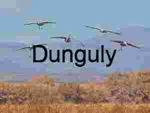 Sandhill Cranes in Flight Over Arid Landscape