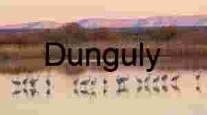 Cranes with, magenta hill, reflections | Cloud Patterns over Bosque del Apache